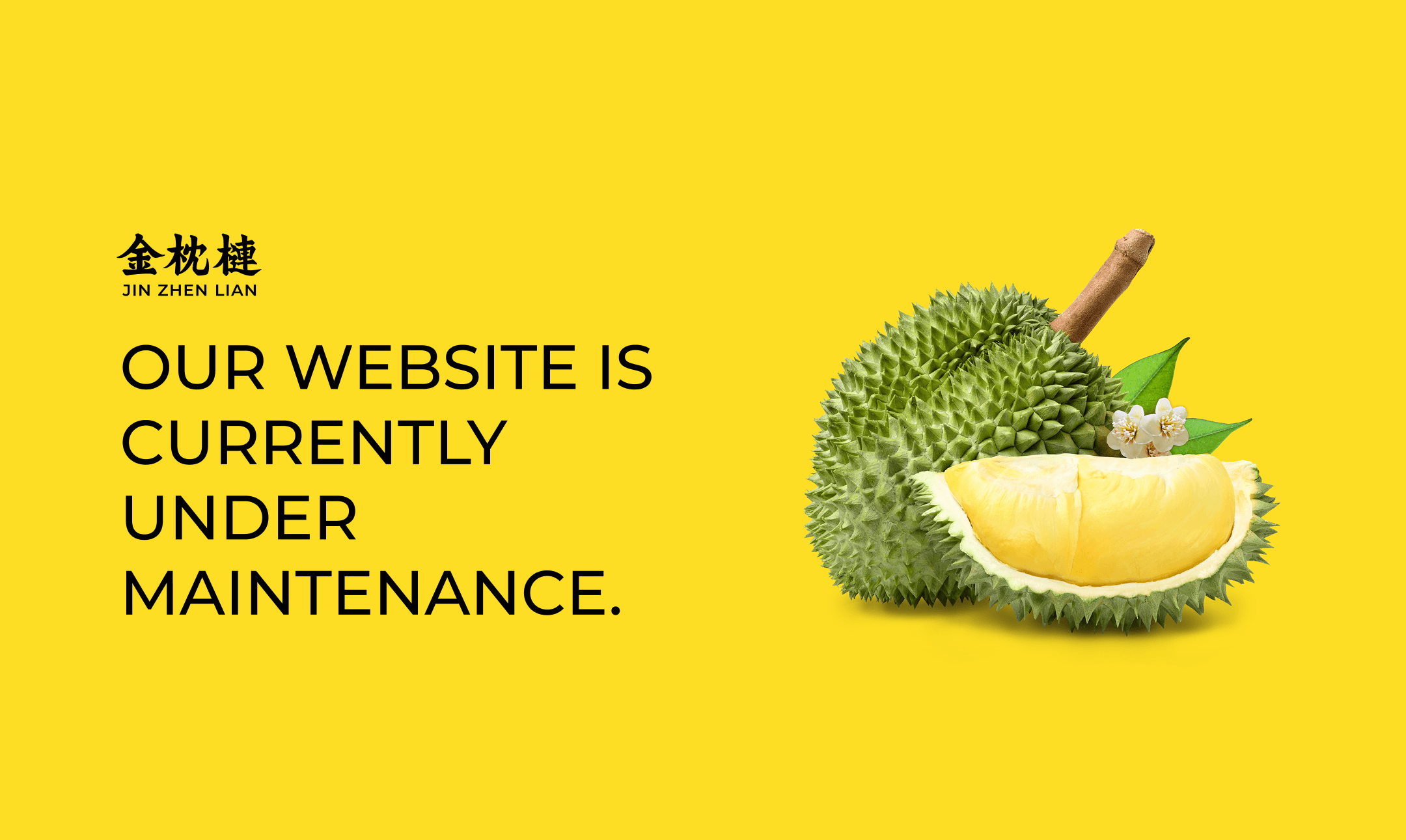Under Maintenance